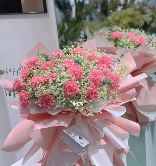 康乃馨花的象征意义（花中的爱与美）