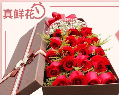 19朵玫瑰的花语之美（探秘玫瑰的浪漫寓意与爱情宣言）