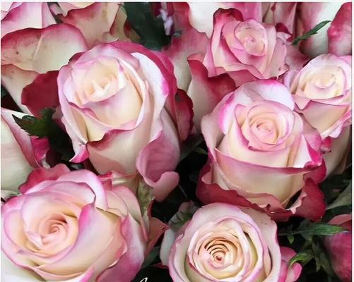 36朵玫瑰的花语之深情表白（向爱人表达深情的方式）