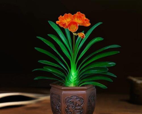 家里如何养君子兰（关于君子兰的养护知识）