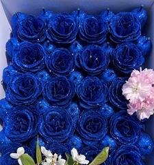 男人为女人送蓝色玫瑰的含义（探寻男性赠送蓝色玫瑰的心思）