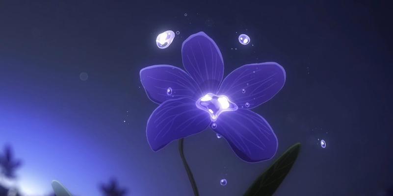 蓝色紫罗兰花语与其美丽寓意（紫罗兰花语的传达与理解）