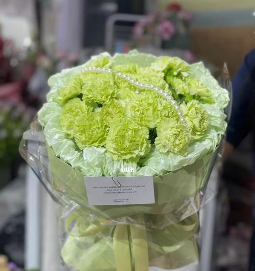 绿色康乃馨花语的意义与传承（揭秘绿色康乃馨花语的神奇力量）
