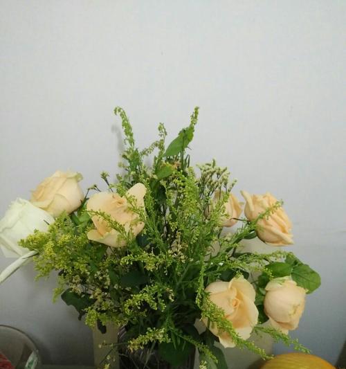 绿色玫瑰的花语与寓意（绿色玫瑰的神秘与生机）