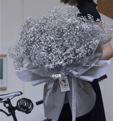满天星花传说（盛开的满天星花）