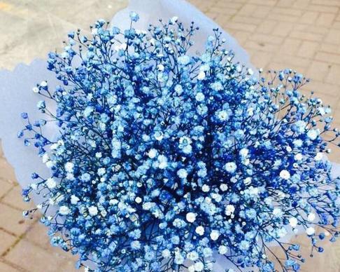 满天星花束的美丽寓意(用花束传递爱与祝福)