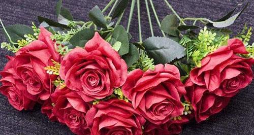 玫瑰花的花语与象征意义（解读玫瑰花的花语）