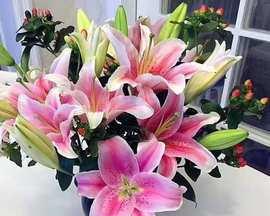 百合花的美好寓意及适合送礼的对象（百合花传递美好祝愿）