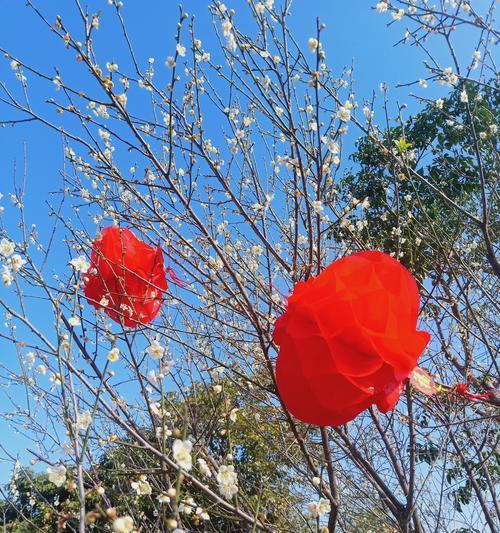 以梅花代表吉祥（传递幸福与美好的寓意）