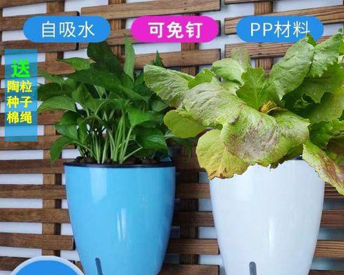 花盆种菜怎么施肥（家庭花盆种菜施肥技巧）