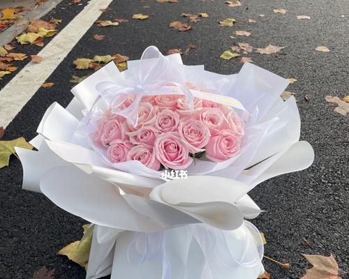 粉红雪山玫瑰花语——爱的芬芳与坚韧（以爱为名）
