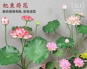 《花瓶里的荷花——寓意无边》（诠释荷花的美丽与哲学）