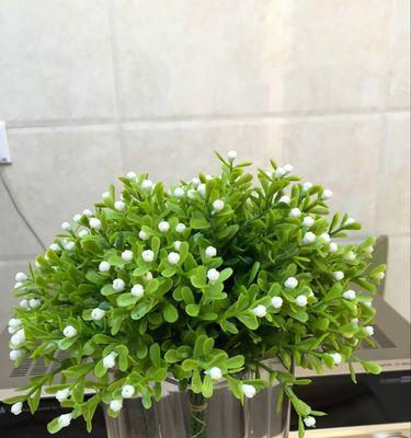米兰花语（寓意与力量）