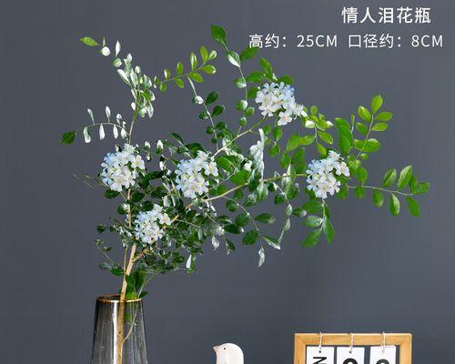 九里香花怎么养殖（九里香养殖注意事项）