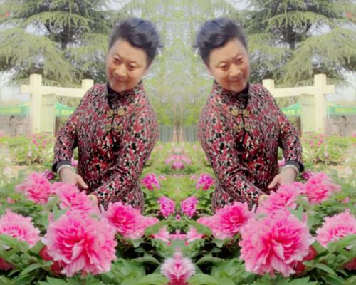 花卉寓意富贵的魅力（探寻花卉与财富的奇妙联系）