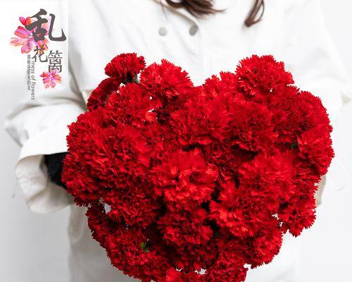 母亲节（以什么花代表母亲节）