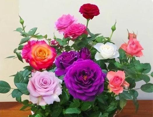 用百合花象征忘记一个人（在生命中迈向新的开始）