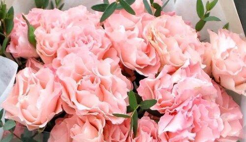 永恒之花——生命的延续（以花为媒介）