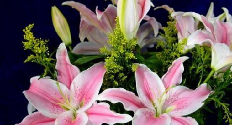 常见花卉的寓意与意义（探索花卉的神秘力量）