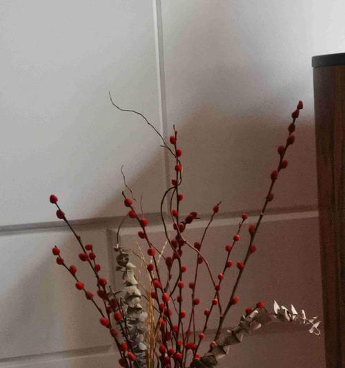 银柳的花语与寓意（揭秘银柳的隐藏情感）