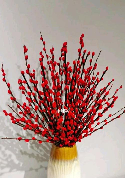 银柳的花语及其意义（探寻银柳的花语之美）