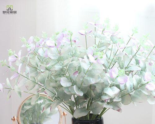 探寻尤加利花的花语之谜（尤加利花的意义和象征）