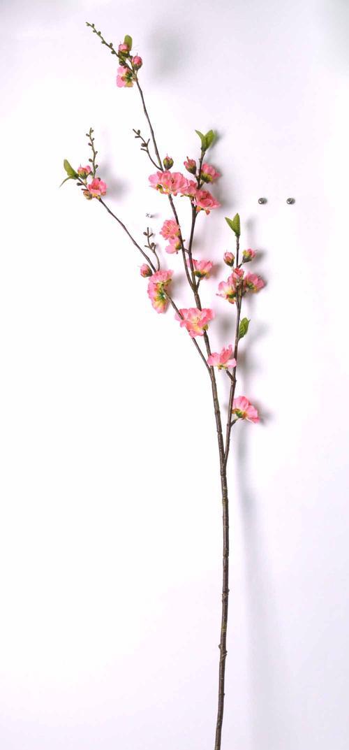 桃花（桃花的花语和文化意义）