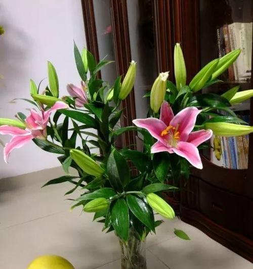 香槟百合的花语与寓意（揭秘香槟百合的深层寓意与神秘力量）