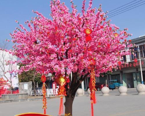许愿树之神奇传说与象征意义(揭秘许愿树的神奇力量与传说起源)
