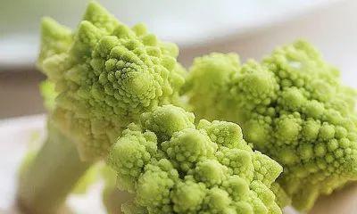 菜花生长温度及其影响因素（适宜温度范围）