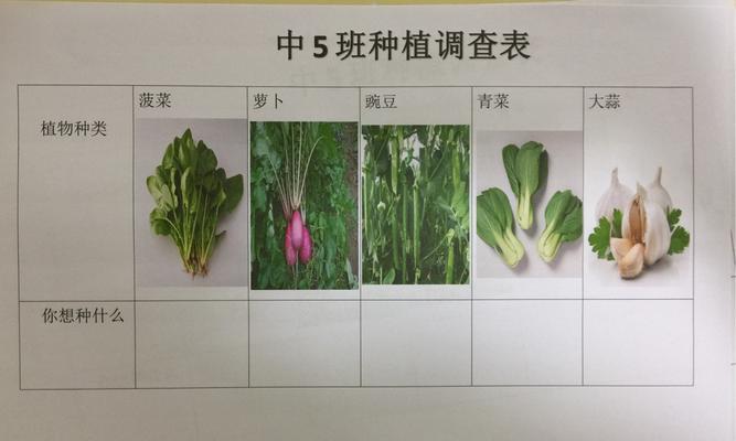 蚕豆种植全攻略（蚕豆栽培时间、方法详解）