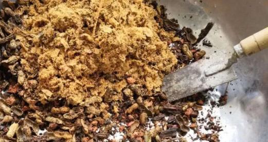 蚕沙肥料的制作与应用（利用蚕沙打造天然）