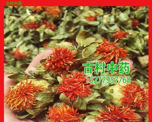 揭秘藏红花的产地与特点（探究藏红花的神秘之处）