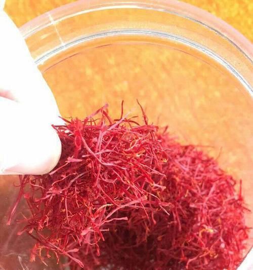 藏红花的故乡——伊朗（品味伊朗特色文化之藏红花）