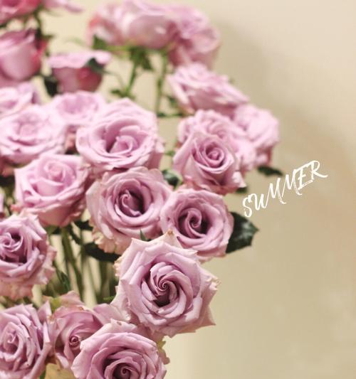 九星蓝狐玫瑰——花开的神秘寓意（解读蓝狐玫瑰的九种花语）