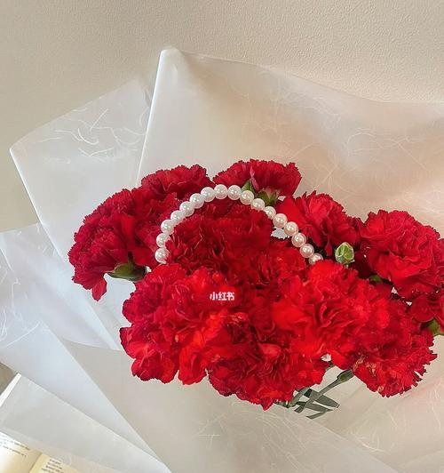 康乃馨花（传递真挚情感的花语）