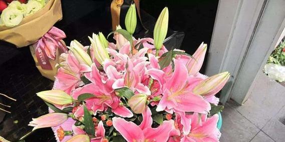 梯伯百合花语（透视梯伯百合的深刻内涵）