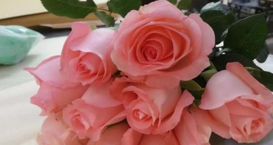 13朵玫瑰的象征意义与寓意(探寻玫瑰花的神秘密码)