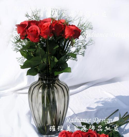 玫瑰花的寓意（用16朵玫瑰花传递浪漫情怀与真挚爱意）