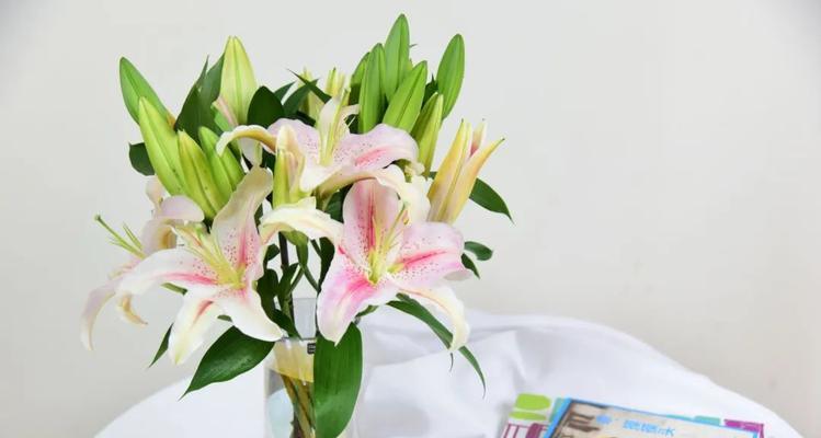 白百合花的花语与意义(解读白百合花语)