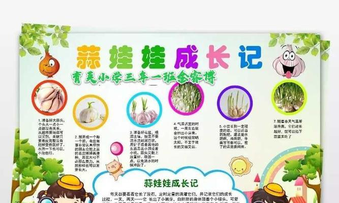 如何拯救满天星僵苗（从病因到防治）