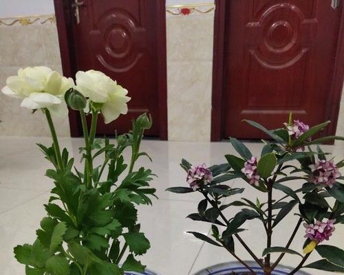 花语告别,分手之意(以什么花代表分手)