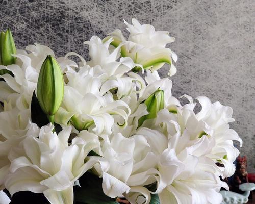 百合花的含义与象征(百合花的深层寓意和文化象征)