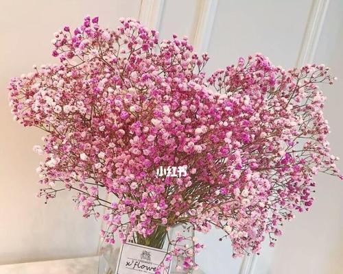 粉色满天星的花语(甜美如梦)