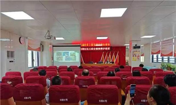 如何正确养护络石下山桩（细致入微的桩柱保养）
