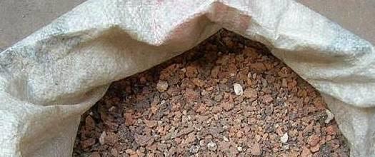 煤渣再利用——用烧过的煤渣种花的方法（将废弃煤渣变废为宝）