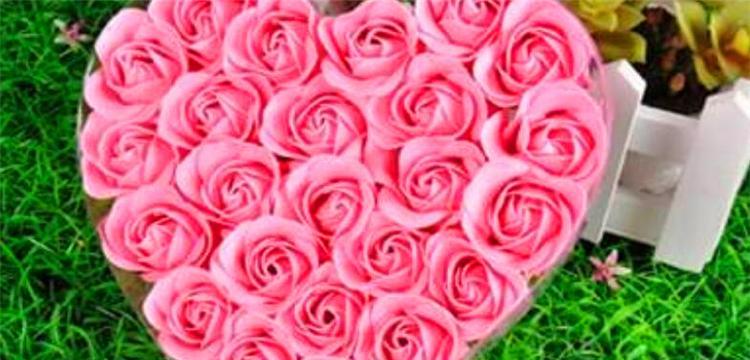 粉色玫瑰花的美丽寓意与深远花语（探寻粉色玫瑰的含义和象征）