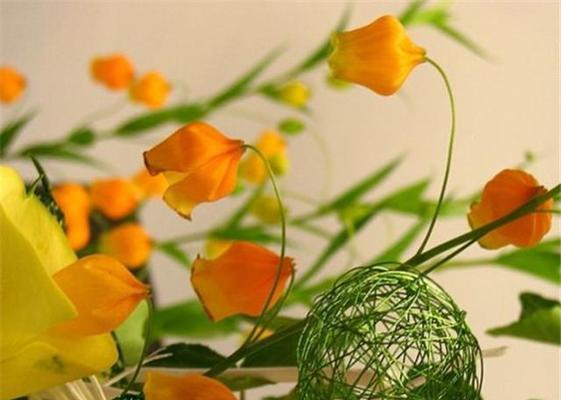 宫灯百合花语——美丽与祝福的化身（神秘绽放的宫廷之花）