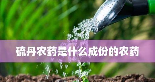 水稻农药防治方法（以病虫害防治为主）