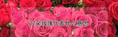 玫瑰花语（用花语传递爱情的情感密码）
